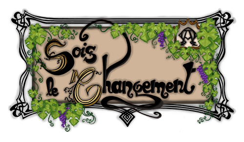 Logo Sois le Changement